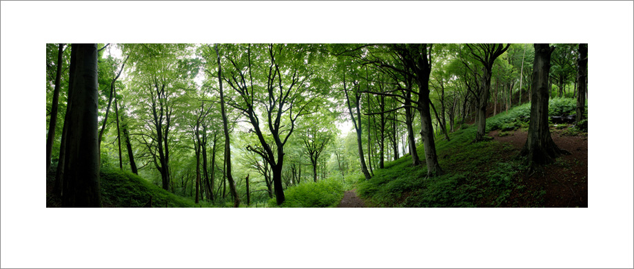 Digital landscape panoramic photography of Castell Coch, South Glamorgan, South Wales.