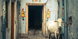 Varanasi, India, Lee robinson travel photography