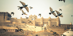 The Amber Fort, near Jaipur, India, Lee robinson travel photography