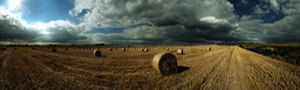 digital panoramic photograph of Hay bails, Wiltshire.